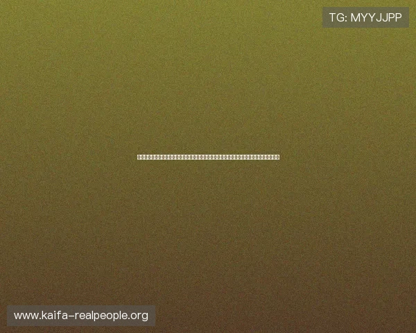 凯发手机官方客户端下载为用户提供全方位的世界杯报道和赛事分析，满足足球迷的多样需求